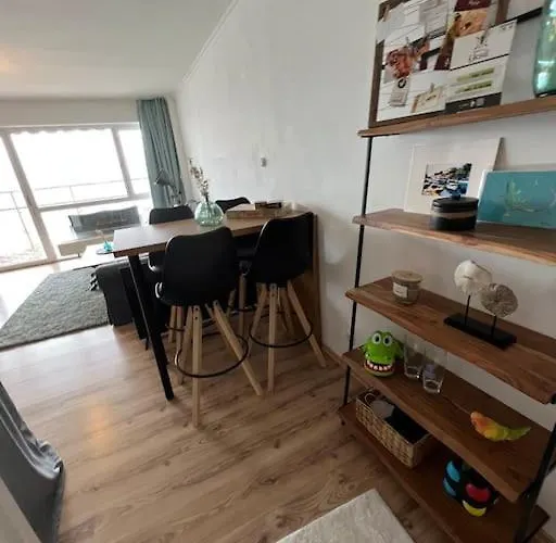 Schoene Penthouse Direkt Am Deutschen Eck * Koblenz (Rhineland-Palatinate)